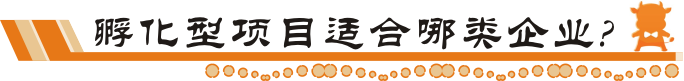 孵化型項目適合哪些企業(yè)