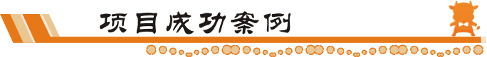 孵化型項目成功案例