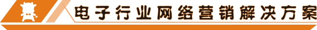 電子行業(yè)網(wǎng)絡(luò)營銷解決方案