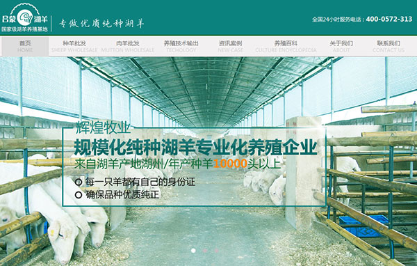 輝煌牧業(yè)營銷型網(wǎng)站首屏截圖