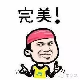 完美的網(wǎng)絡(luò)營銷