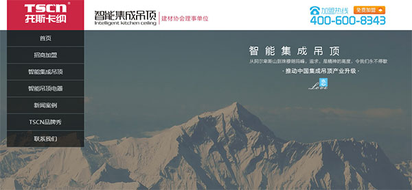 營銷型網(wǎng)站案例