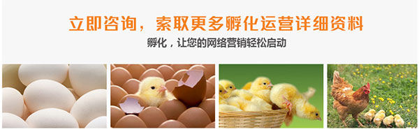 網(wǎng)站運(yùn)營(yíng)