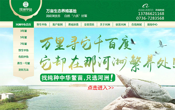 營(yíng)銷型網(wǎng)站案例