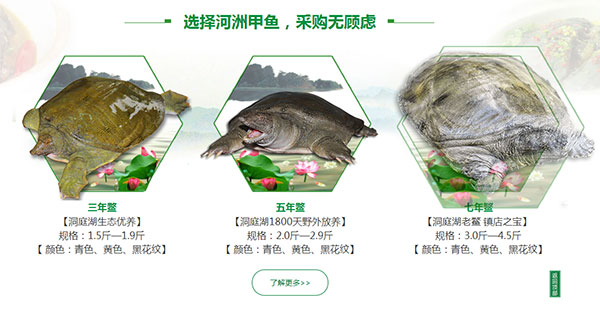 營(yíng)銷型網(wǎng)站案例