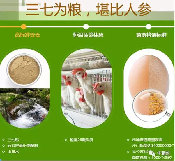 營(yíng)銷型包裝的客戶產(chǎn)品，三七雞蛋