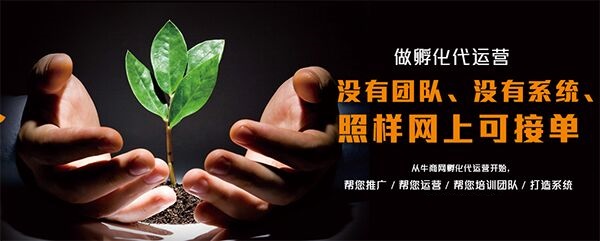 網(wǎng)站代運(yùn)營(yíng)