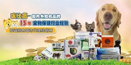 營(yíng)銷型網(wǎng)站：醫(yī)仕高貿(mào)易成功案例分享