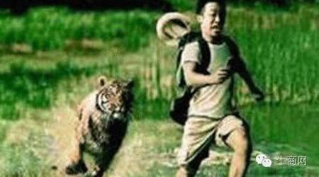 賺錢還是倒閉？互聯(lián)網(wǎng)轉(zhuǎn)型如何跑贏競爭對手？