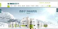 【東莞營銷型網(wǎng)站】西奈子孵化項(xiàng)目案例展示