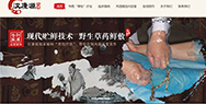 醫(yī)院網(wǎng)站建設(shè)方案，漢康源另辟蹊徑“掘金”