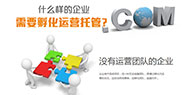 網(wǎng)站托管收費(fèi)標(biāo)準(zhǔn) 長沙網(wǎng)站托管服務(wù)商